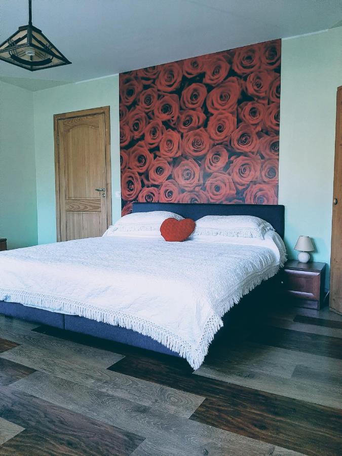 Irene Apartments 드루스키닝카이 외부 사진